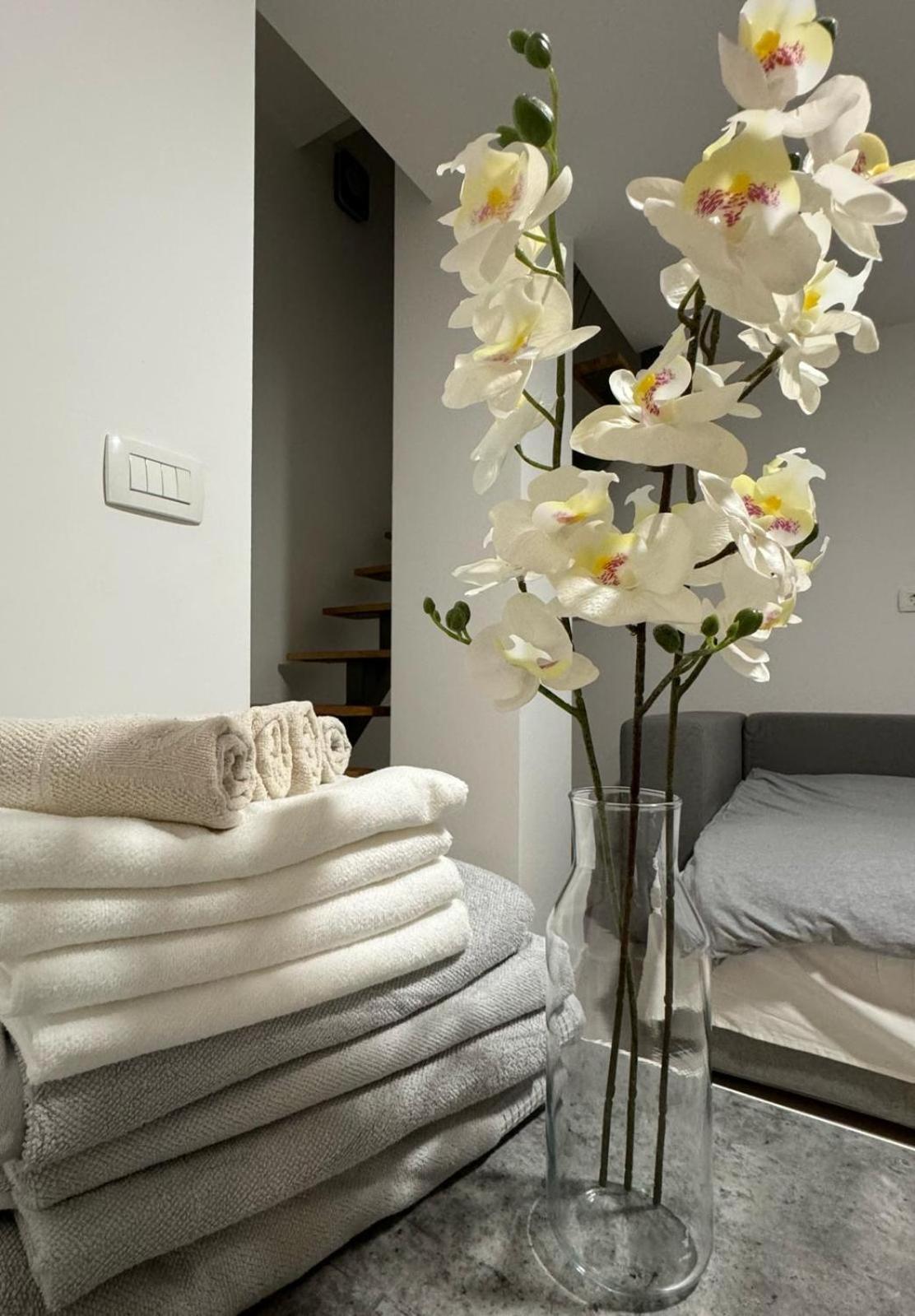 Elena Apartment